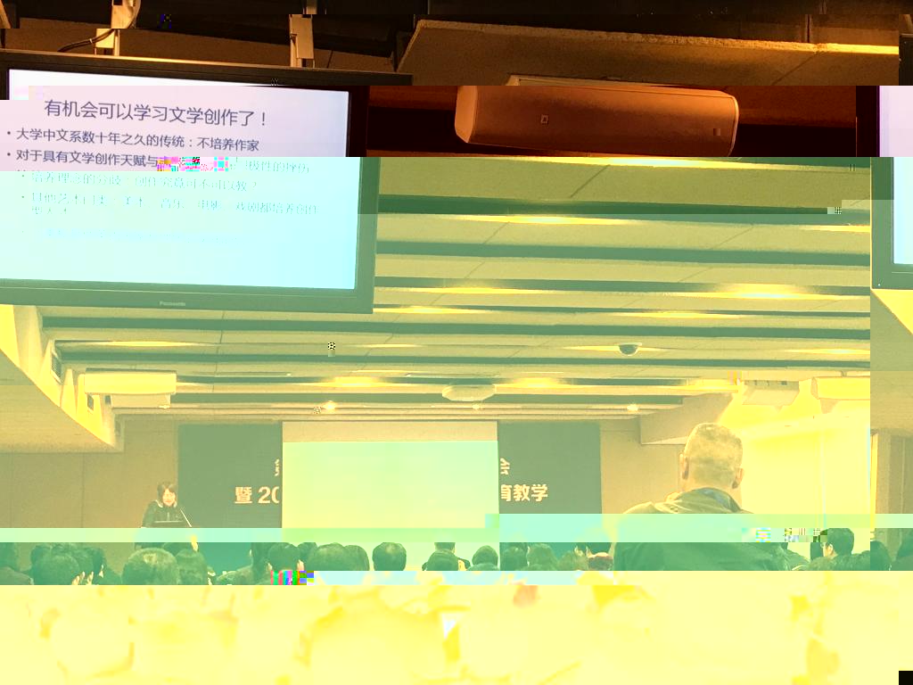 複旦大學王宏圖教授作報告